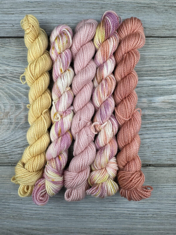 Hand Painting Mini Skeins with Natural Dyes with Color Me Happy (Saturday morning)