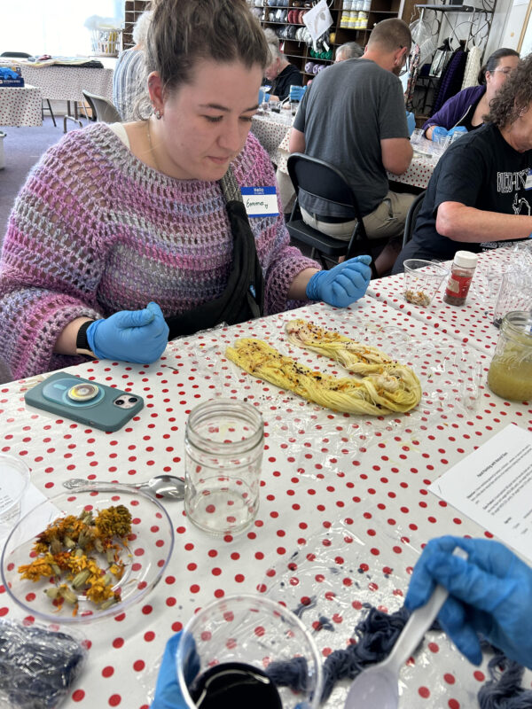 Hand Painting Mini Skeins with Natural Dyes with Color Me Happy (Saturday morning) - Image 3